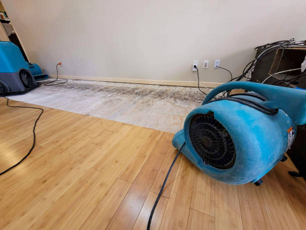 Professional Water Removal technician working in Bayboro, NC
